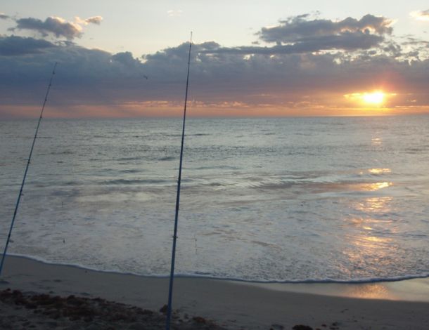 Government releases fishing discussion paper